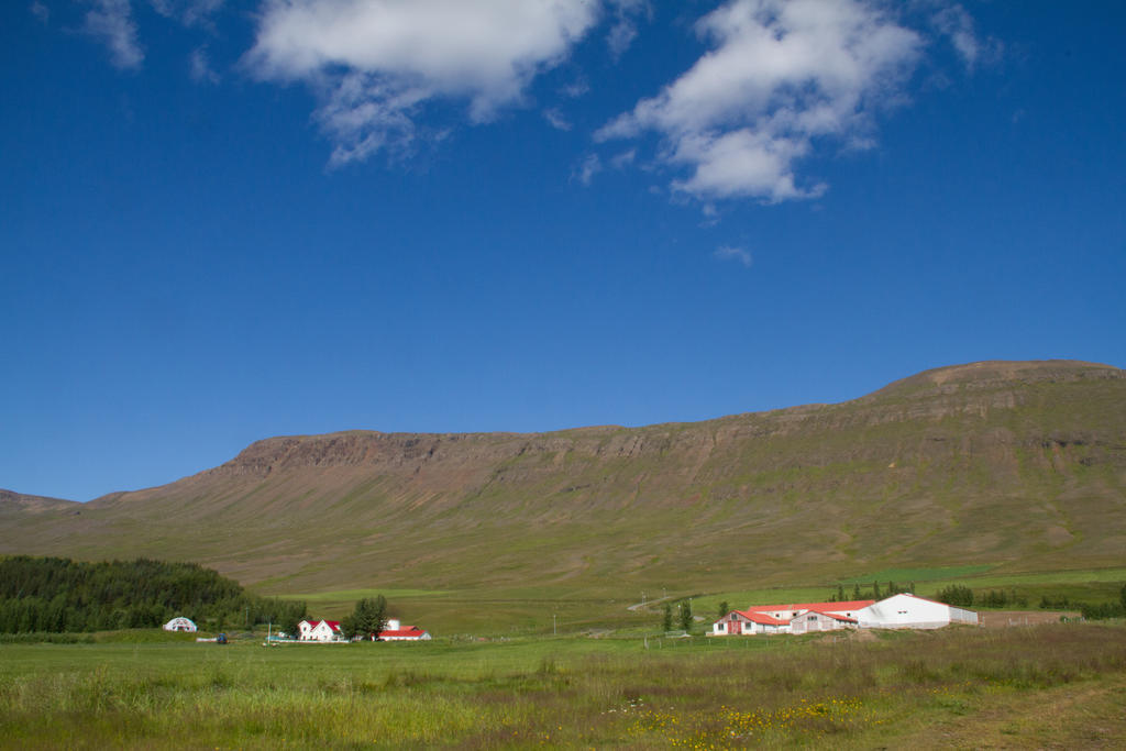 Guesthouse Hof In Vatnsdalur Hof i Vatnsdal Buitenkant foto